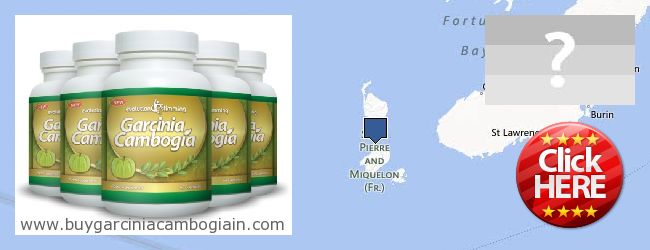 Où Acheter Garcinia Cambogia Extract en ligne Saint Pierre And Miquelon